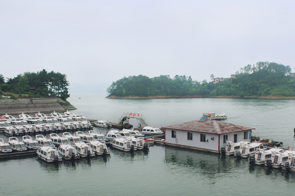 IMG_0037.jpg IMG_0037.jpg