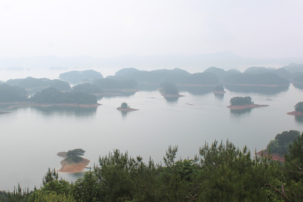 IMG_0147.jpg IMG_0147.jpg